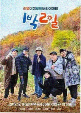 雏菊歌会 综艺 2026